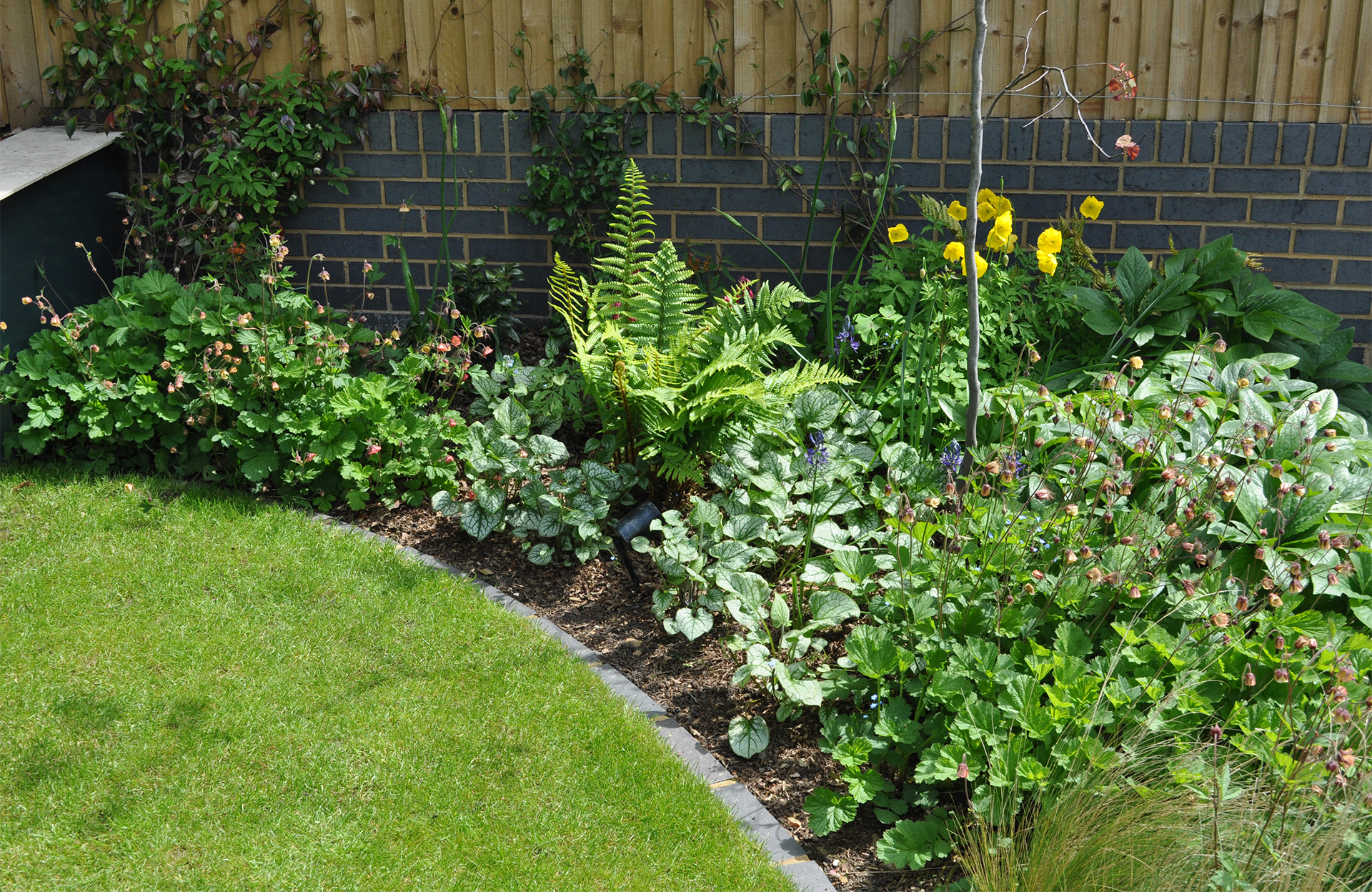 external wall and garden edging in Ketley Staffs blue bricks in a garden by Jilayne Rikards image by Simon Bourne